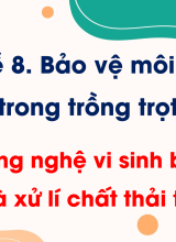CN Trồng trọt - Bài 23. Công nghệ vi sinh bảo vệ môi trưởng và xử lí chất thải trồng trọt